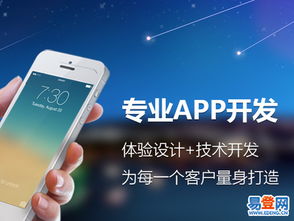 【软件开发+app开发+ui设计+erp系统研发】-嘉定 江桥易登网